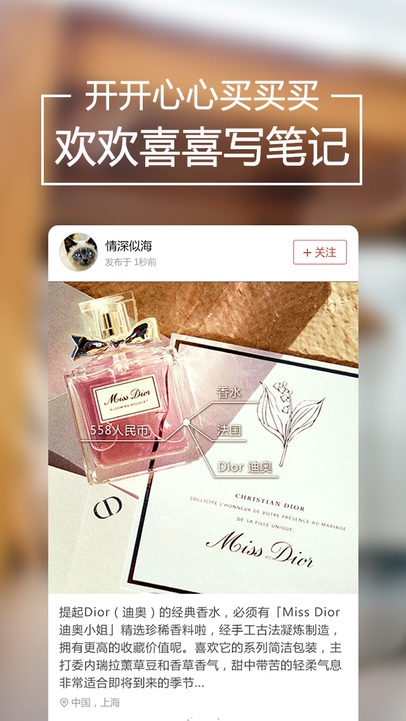 洋码头iPhone版