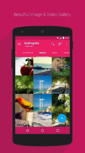 Andrognito
