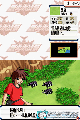 NDS昆虫大战