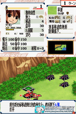 NDS昆虫大战
