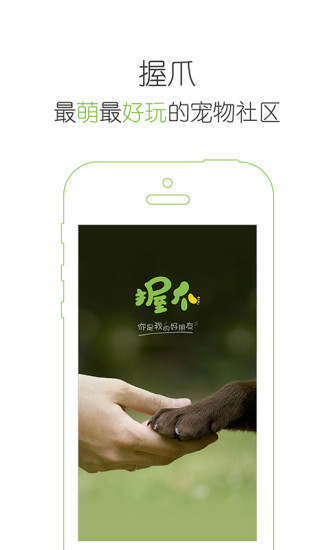 握爪宠物