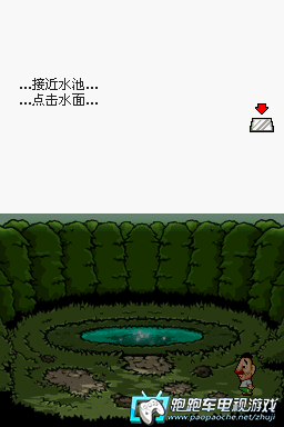 NDS汀格爾的薔薇色盧比樂園