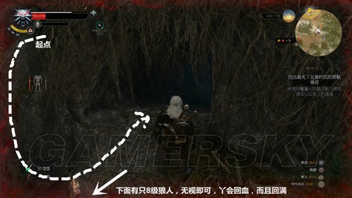 林中夫人攻略