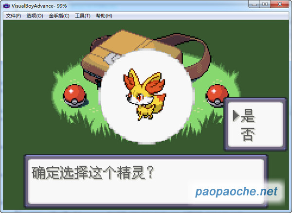口袋妖怪永恒之沫