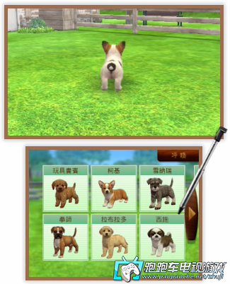 3DS任天貓狗:玩具貴賓犬與新伙伴