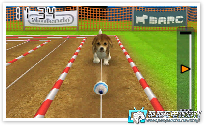 3DS任天貓狗:玩具貴賓犬與新伙伴