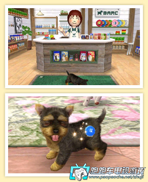 3DS任天貓狗:玩具貴賓犬與新伙伴