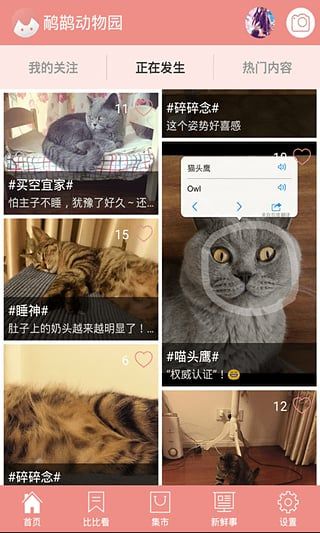 鴯鹋動(dòng)物園手機(jī)版