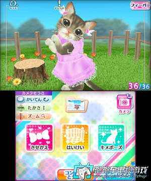 3DS小貓相簿:我的小貓