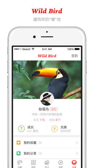 野鸟装备iphone版