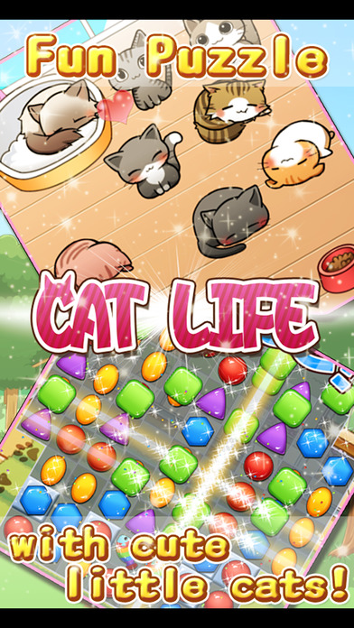 猫的生活iphone/ipad版