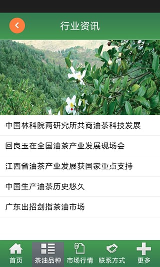 中國(guó)山茶油