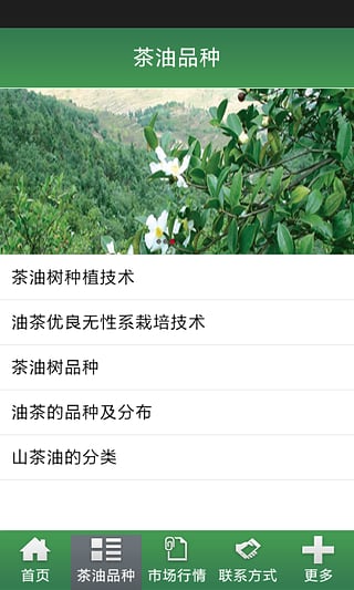 中國(guó)山茶油