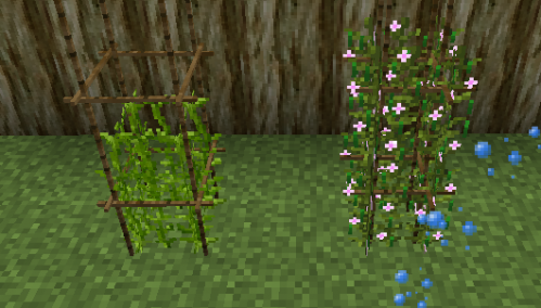 我的世界1.6.4楓樹mod