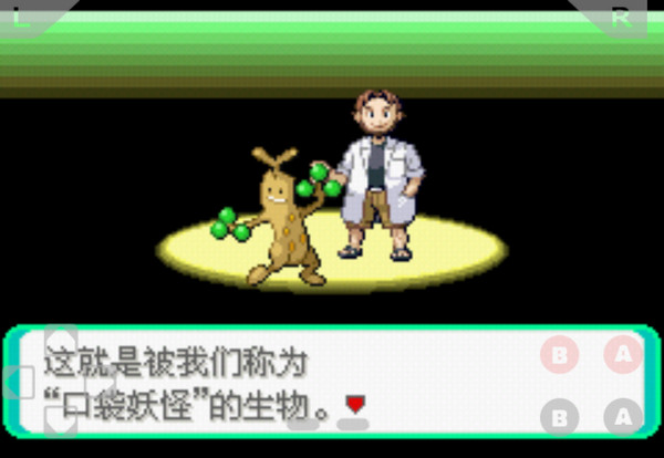 口袋妖怪心魂之羽