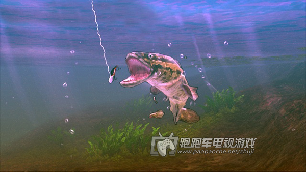 XBOX360職業(yè)釣魚(yú)