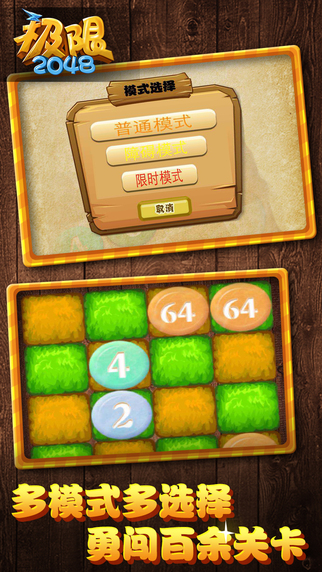 极限2048 iPhone/iPad版