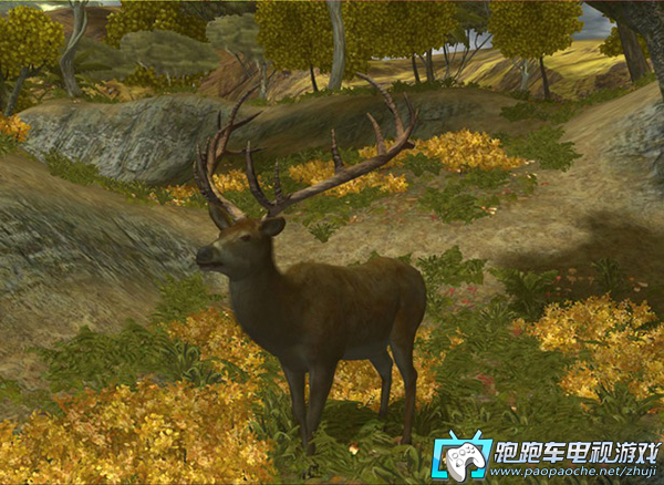 XBOX360坎贝拉猎人2008
