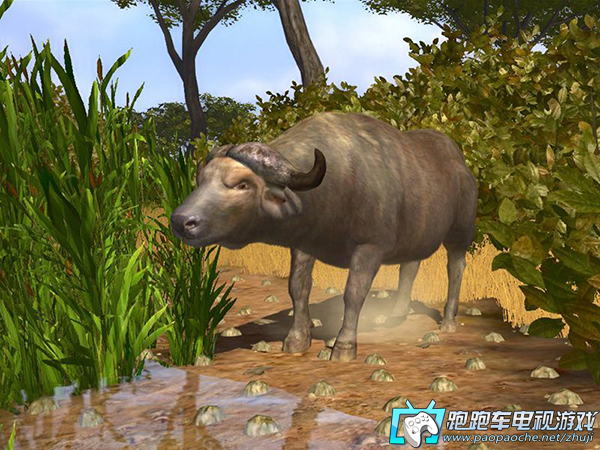 XBOX360坎贝拉猎人2008