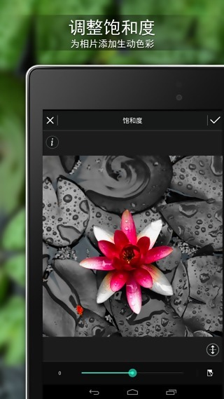 相片大师(PhotoDirector)