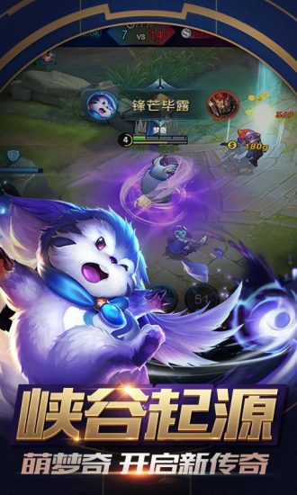 小皮王者美化助手