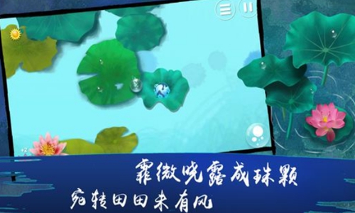 荷露尋夢(mèng)之旅