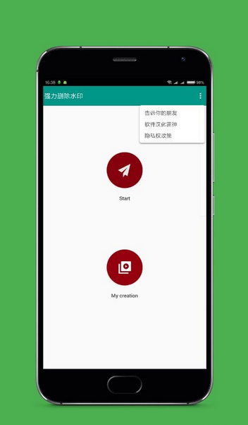 视频去水印大师
