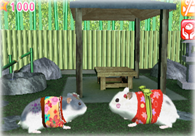 3DS與漂亮的倉(cāng)鼠一起生活共同外出