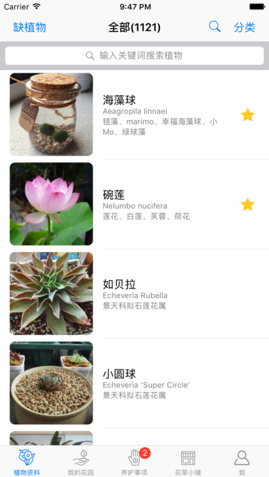 愛花草iphone/ipad版