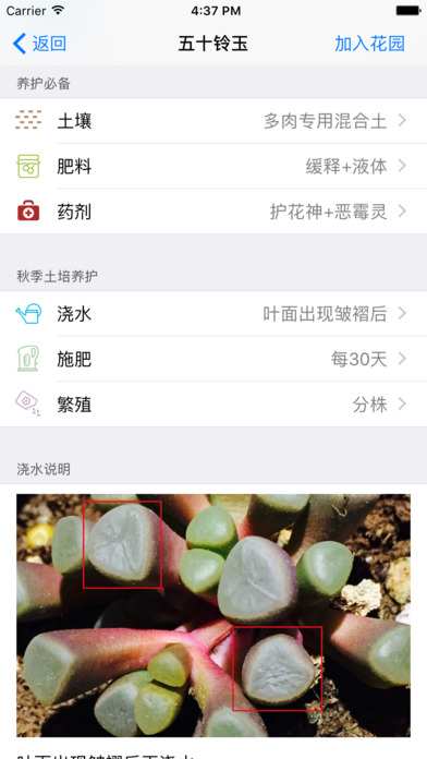 愛花草iphone/ipad版