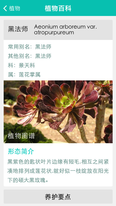 盆友iphone/ipad版