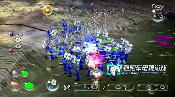 Wii用Wii玩皮克敏2