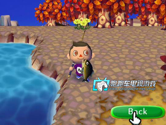 Wii動物之森城市大家庭