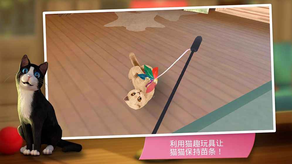 我為可愛小貓準(zhǔn)備的貓舍(CatHotel)