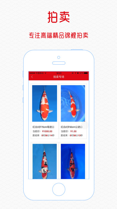 魚(yú)趣iphone版