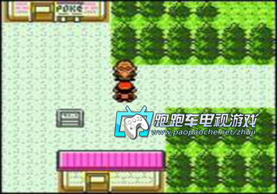 GBC口袋妖怪金