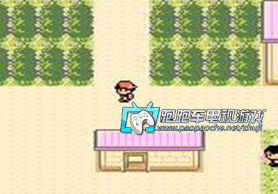 GBC口袋妖怪金