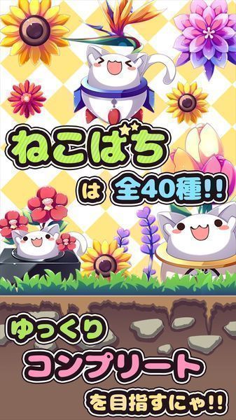 貓咪花盆(ねこばち！)