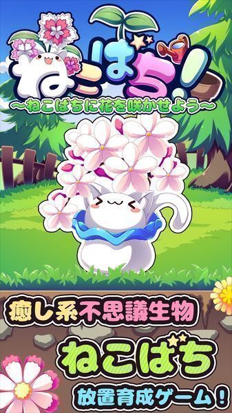 貓咪花盆(ねこばち！)