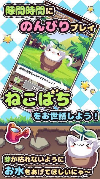 貓咪花盆(ねこばち！)