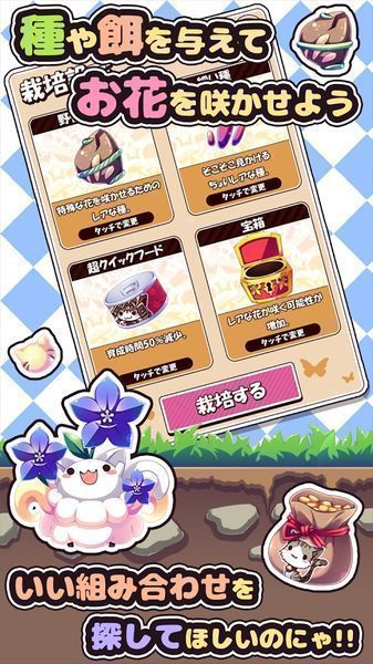 貓咪花盆(ねこばち！)