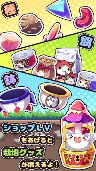 貓咪花盆(ねこばち！)