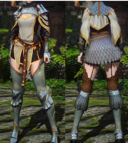 上古卷軸5BDO女武神鎧甲MOD
