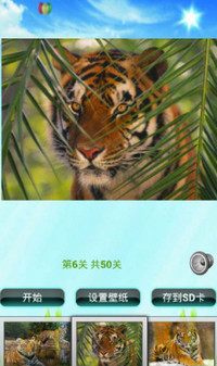 老虎拼图儿童游戏