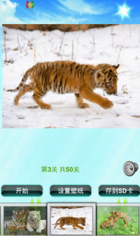 老虎拼图儿童游戏
