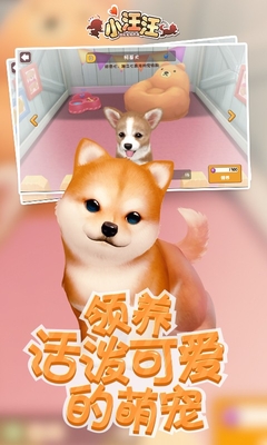 小汪汪官方版