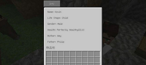 我的世界1.11.2改進的村民mod