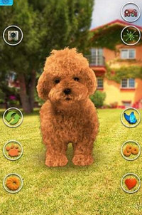会说话的泰迪狗(Talking Teddy Dog)