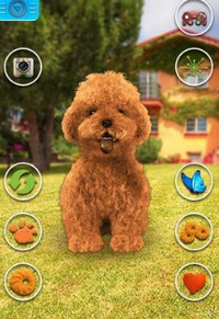 会说话的泰迪狗(Talking Teddy Dog)