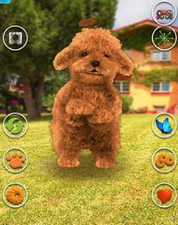 会说话的泰迪狗(Talking Teddy Dog)